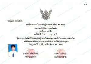 ใบประกอบโรคศิลปะแพทย์แผนไทย-สาขาเภสัชกรรมไทย